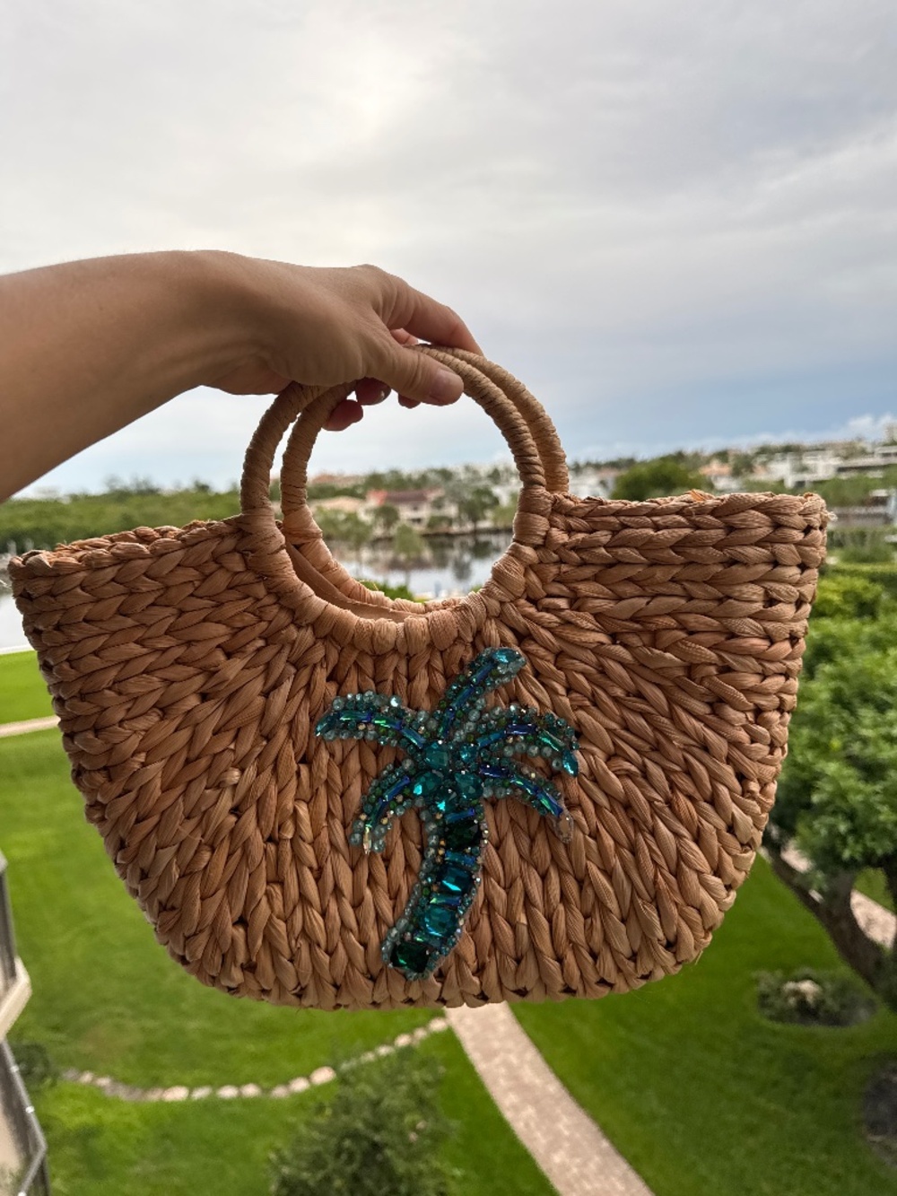Handbag